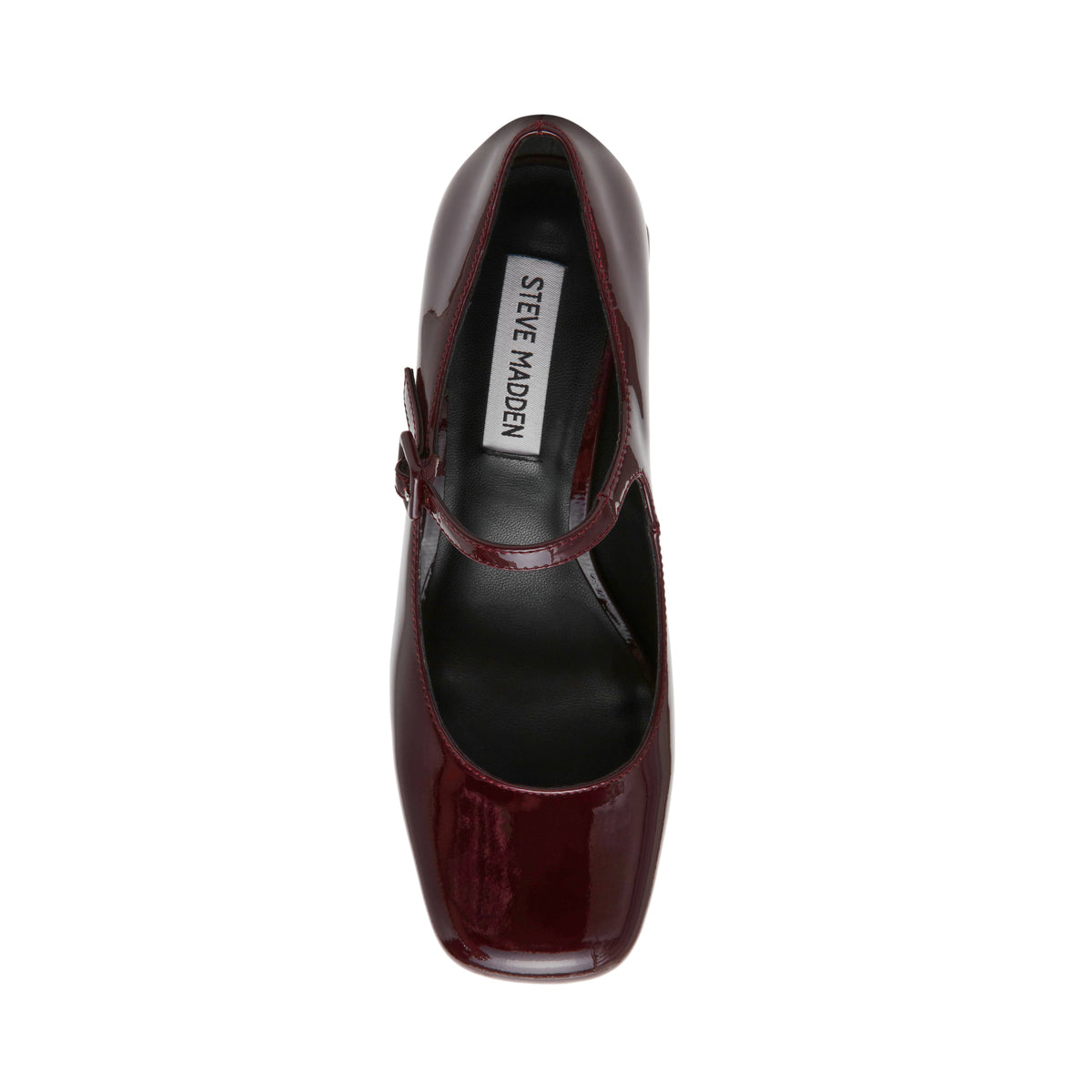 Darcey Pump WNE PATENT